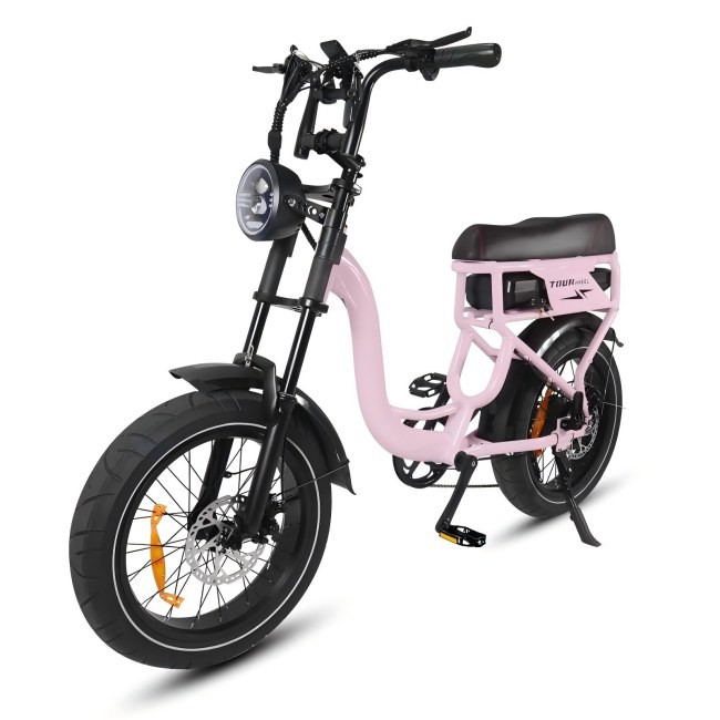 20 Fat Tire Folding Electric Bike