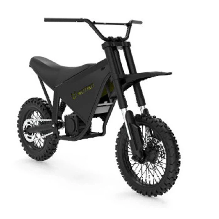 Electric Motorcycle Bike for Adults