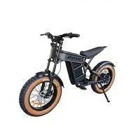 Are there any financing options available for Electric Ci...
